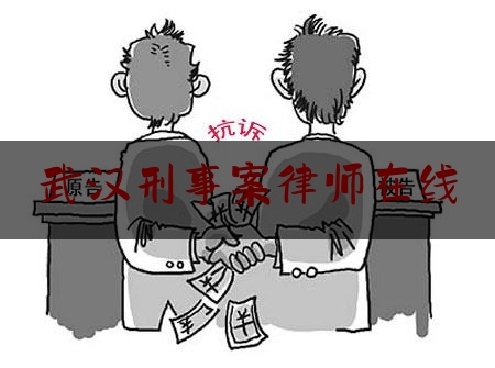 武汉刑事案律师在线