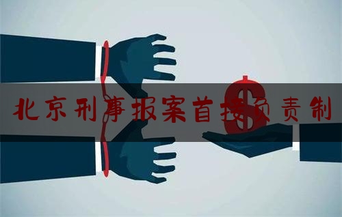 北京刑事报案首接负责制（北京接诉即办总结）