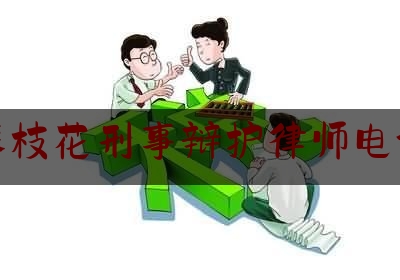 四川攀枝花刑事辩护律师电话咨询