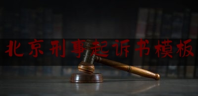 北京刑事起诉书模板（刑事案件起诉书案例）
