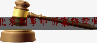 北京刑事申诉案件律师（北京刑事案请律师）