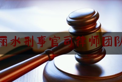 丽水刑事官司律师团队（丽水刑事官司律师团队名单）