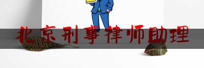 北京刑事律师助理（刑事案件律师 北京）