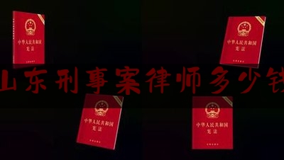 山东刑事案律师多少钱（山东刑事案律师多少钱一次）