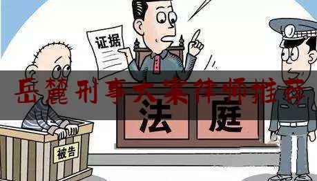 岳麓刑事大案律师推荐