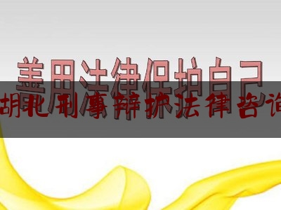 湖北刑事辩护法律咨询（湖北刑事案件律师费用收取标准）