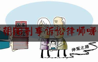 北京朝阳刑事诉讼律师哪个好（朝阳区刑事律师延庆）