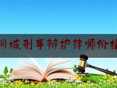 同城刑事辩护律师价格（武汉市抢劫案）