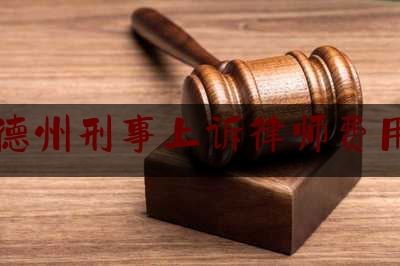 德州刑事上诉律师费用（德州刑事上诉律师费用多少钱）