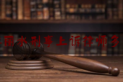 浙江丽水刑事上诉律师多少钱（浙江省刑事案件律师收费标准）