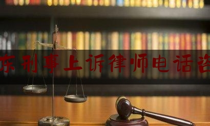 浦东刑事上诉律师电话咨询（浦东律师免费咨询电话）