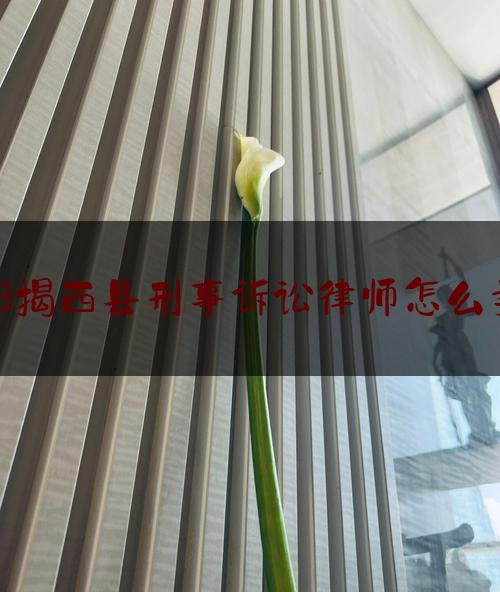 「普及一下」揭阳揭西县刑事诉讼律师怎么委托,广东省 司法厅
