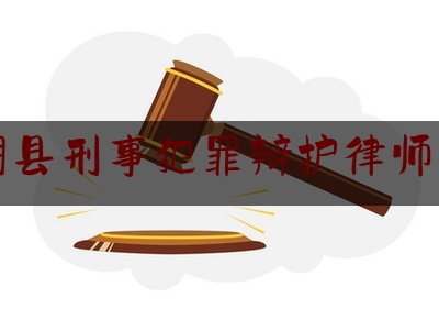 平阴县刑事犯罪辩护律师费用（平阴县刑事犯罪辩护律师费用标准）