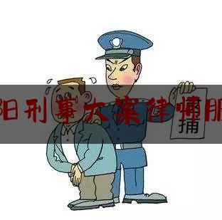 南阳刑事大案律师服务（南阳刑辩律师）