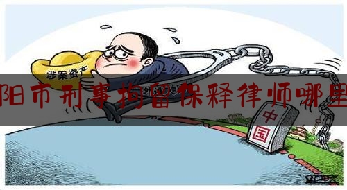 阜阳市刑事拘留保释律师哪里找（阜阳刑事辩护律师哪家好）