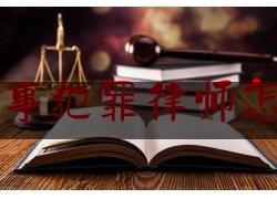 宝坻刑事犯罪律师怎么收费（天津刑事犯罪律师）