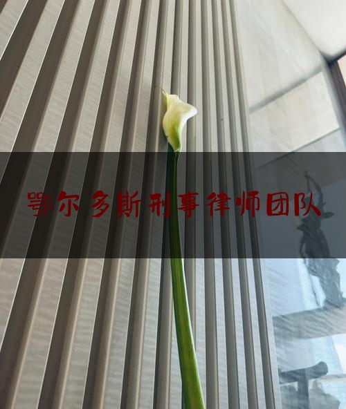 刑事律师团队