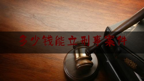 多少钱能立刑事案件