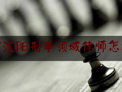 辽宁沈阳刑事领域律师怎样找（沈阳刑事诉讼律师）