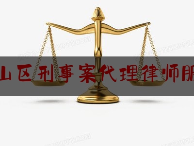 天山区刑事案代理律师服务