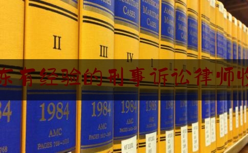 广东有经验的刑事诉讼律师收费（广东刑事案件律师事务所排名）