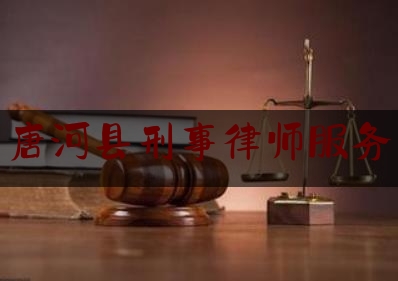 唐河县刑事律师服务（唐河刑事辩护律师）