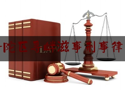 普陀区寻衅滋事刑事律师（寻衅滋事一般律师费多少）