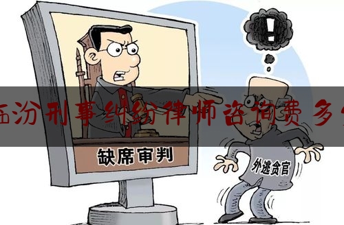 临汾刑事纠纷律师咨询费多少（刑事案件律师咨询费用收取标准）