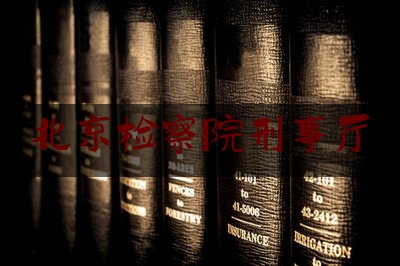 北京检察院刑事厅（北京检察院班子成员）