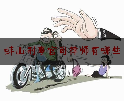 蚌山刑事官司律师有哪些（蚌埠刑事律师事务所）