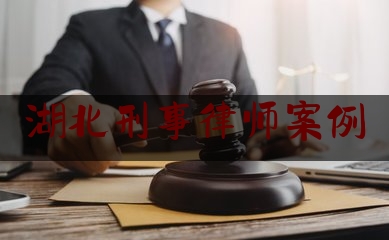 湖北刑事律师案例（湖北刑事辩护律师）