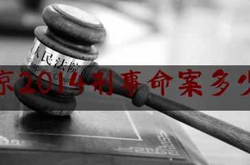北京2014刑事命案多少起（北京历年大案）
