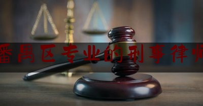 番禺区专业的刑事律师