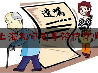 上海初审刑事辩护律师（上海 刑辩律师）