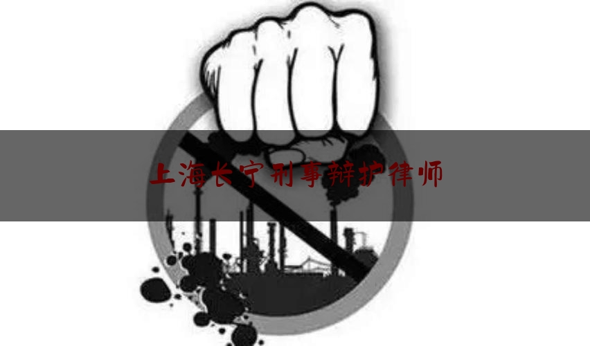 上海长宁刑事辩护律师（上海长宁律师事务所排名前十名）