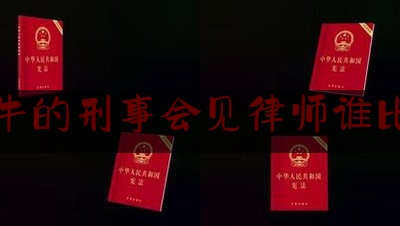 给大伙科普下比较牛的刑事会见律师谁比较好,刑事辩护律师要做什么