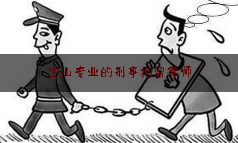 宝山专业的刑事拘留律师（上海宝山拘留所行政拘留名单）