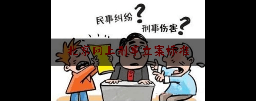 北京网上刑事立案标准（北京网络犯罪）