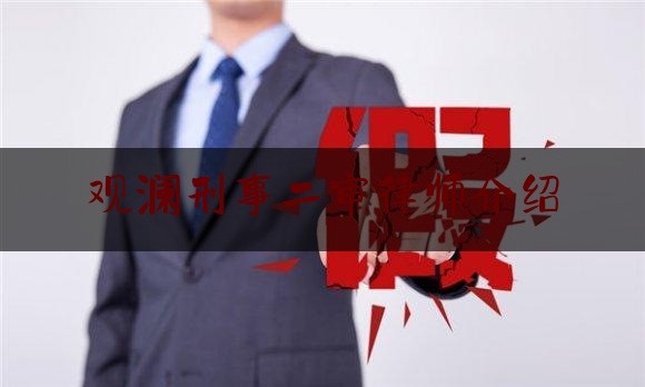 观澜刑事二审律师介绍（观澜律师所）