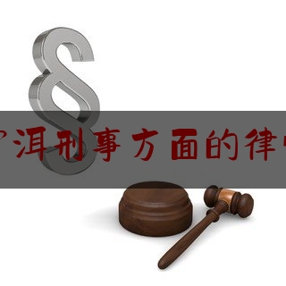 宁洱刑事方面的律师（宁夏刑事案件律师费用收取标准）