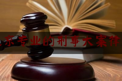 北京专业的刑事大案律师（北京知名刑事案件大律师）