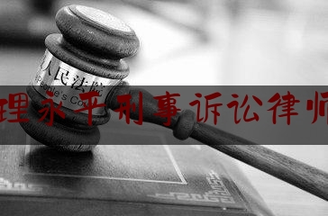 大理永平刑事诉讼律师网（大理永平近期案件）