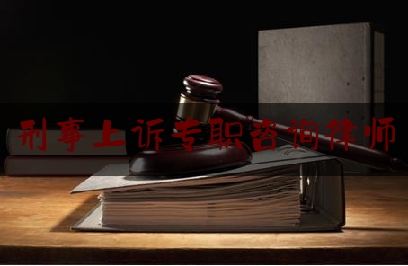 刑事上诉专职咨询律师（刑事上诉专职咨询律师怎么样）