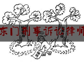 东门刑事诉讼律师（东莞刑事纠纷律师）