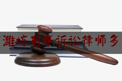 山东潍坊刑事诉讼律师多少钱（山东刑事案件律师）