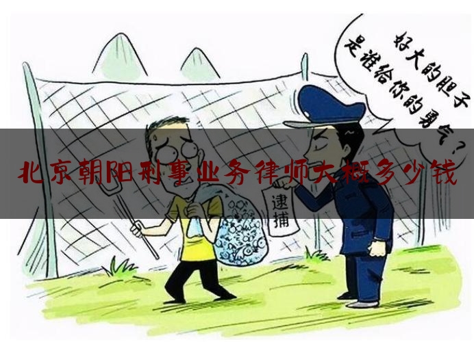 北京朝阳刑事业务律师大概多少钱（朝阳刑事案件律师）