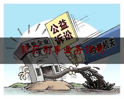 新民刑事业务律师（新民律师事务所咨询）