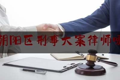 分享看法大全:北京朝阳区刑事大案律师哪个好,北京王金龙律师