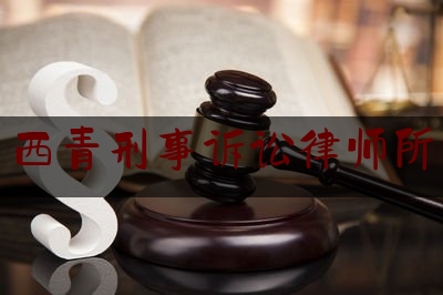 西青刑事诉讼律师所