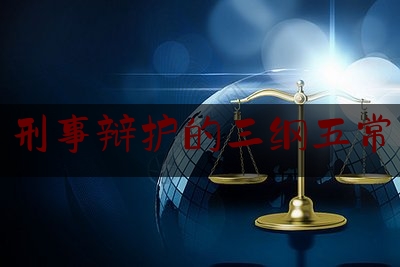 刑事辩护的三纲五常（常见刑事案件辩护要点(第三版)）